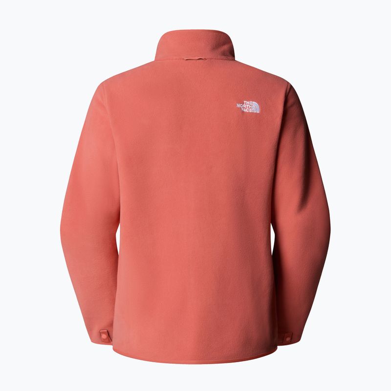 Felpa in pile da donna The North Face Glacier Fleece polvere di mars 6