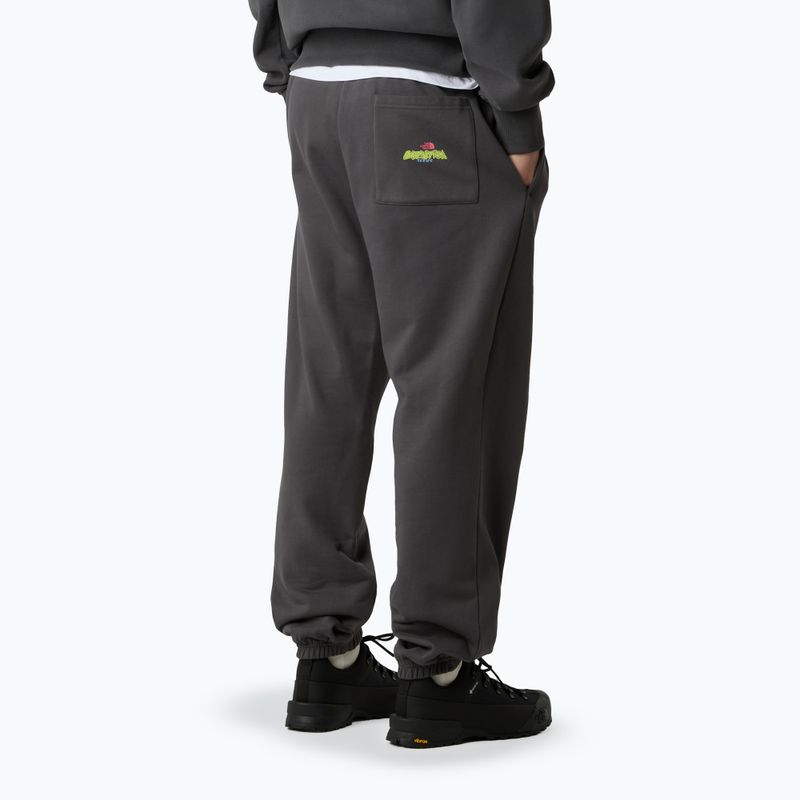 Pantaloni da uomo The North Face Expedition Celebration Relaxed Jogger Reg grigio antracite 3