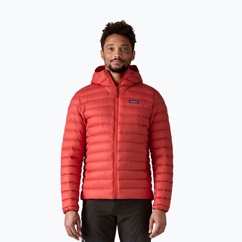 Giacca a piumino da uomo Patagonia Down Sweater Hoody amanita red