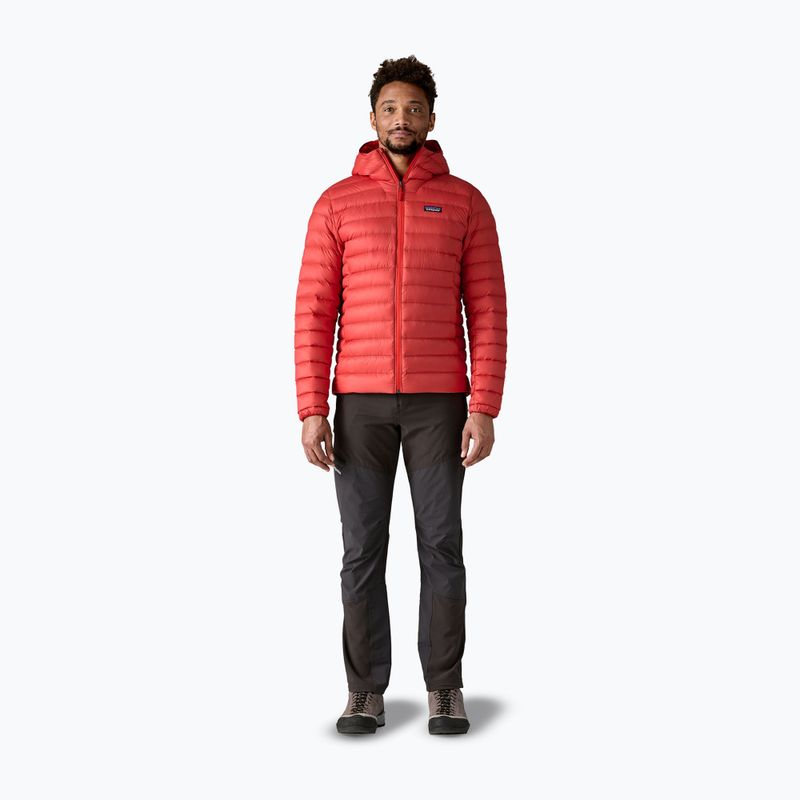 Giacca a piumino da uomo Patagonia Down Sweater Hoody amanita red 2