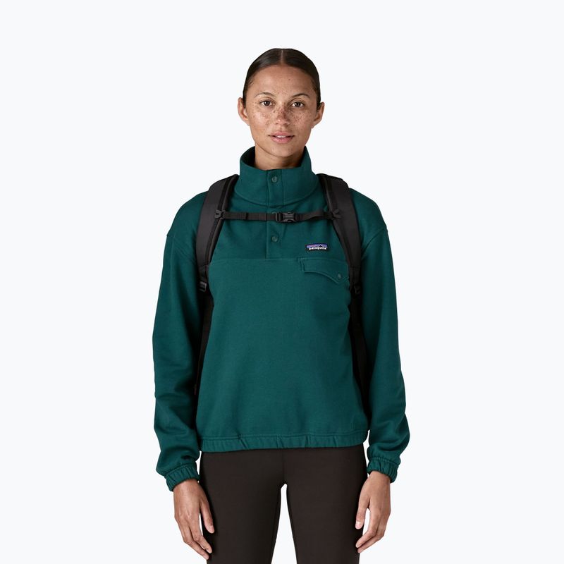 Patagonia Atom Daypack 24 l nero 6