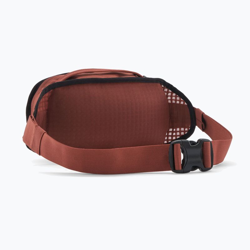 Patagonia Fieldsmith Hip Pack 5 l sacchetto di rene essiccato alla vaniglia 2