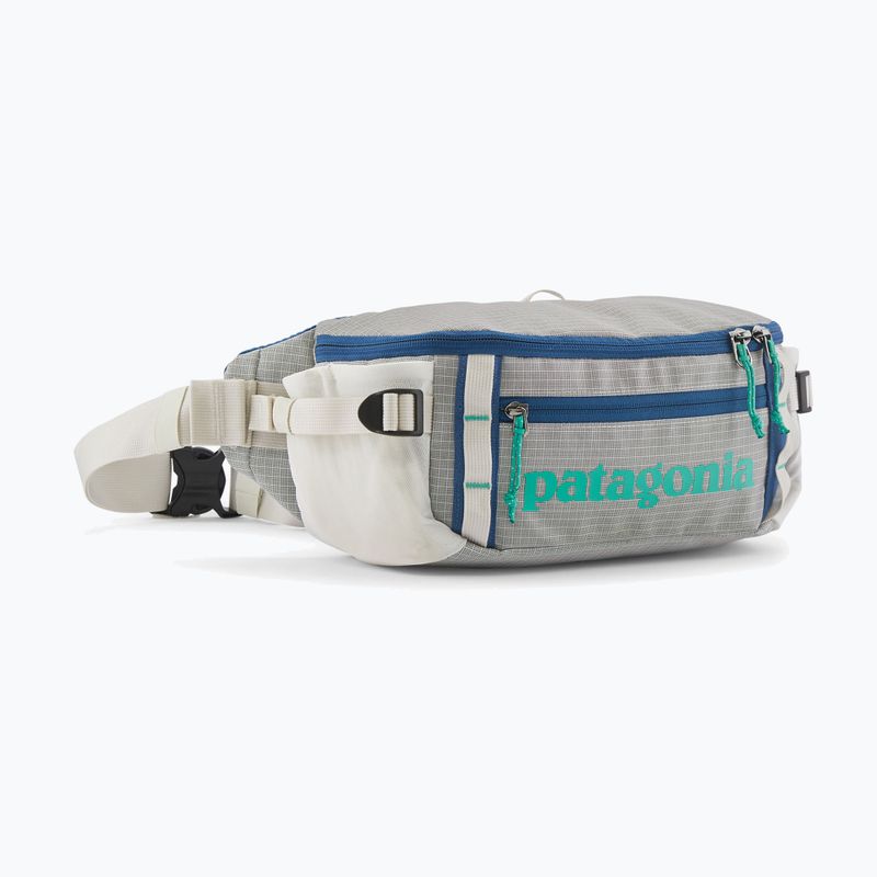 Marsupio Patagonia Black Hole Waist Pack 5 l birch white