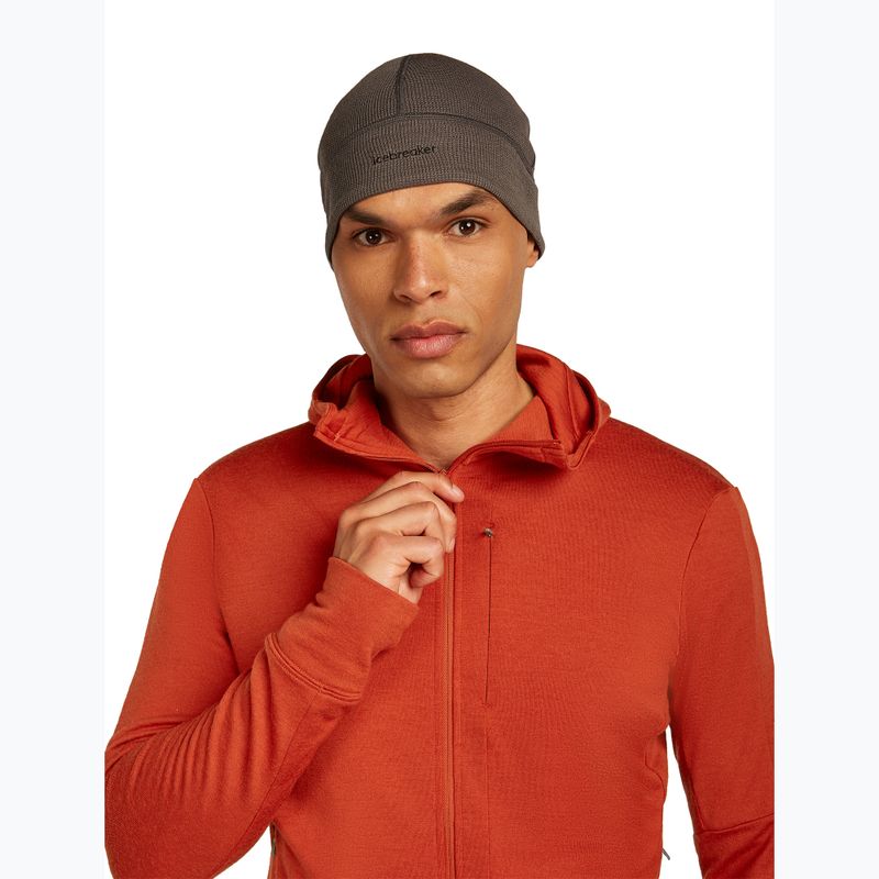 Felpa con cappuccio Icebreaker Merino 260 Quantum IV Zip Uomo agata 6