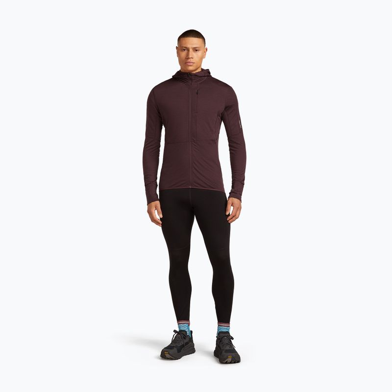 Felpa Icebreaker Merino 200 RealFleece Descender Zip Hoodie java trekking da uomo 2