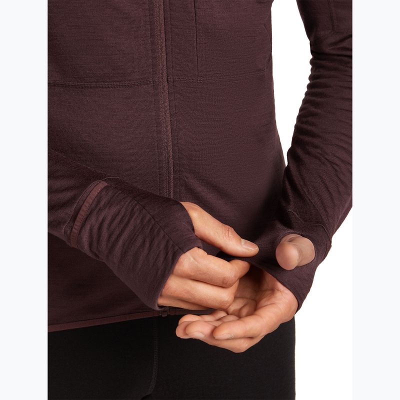 Felpa Icebreaker Merino 200 RealFleece Descender Zip Hoodie java trekking da uomo 9