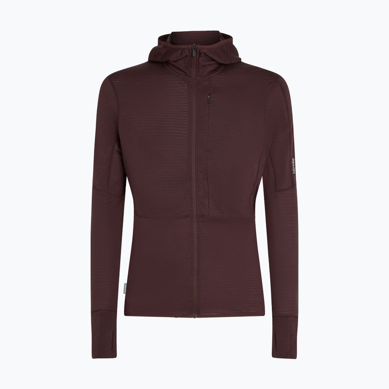 Felpa Icebreaker Merino 200 RealFleece Descender Zip Hoodie java trekking da uomo 10
