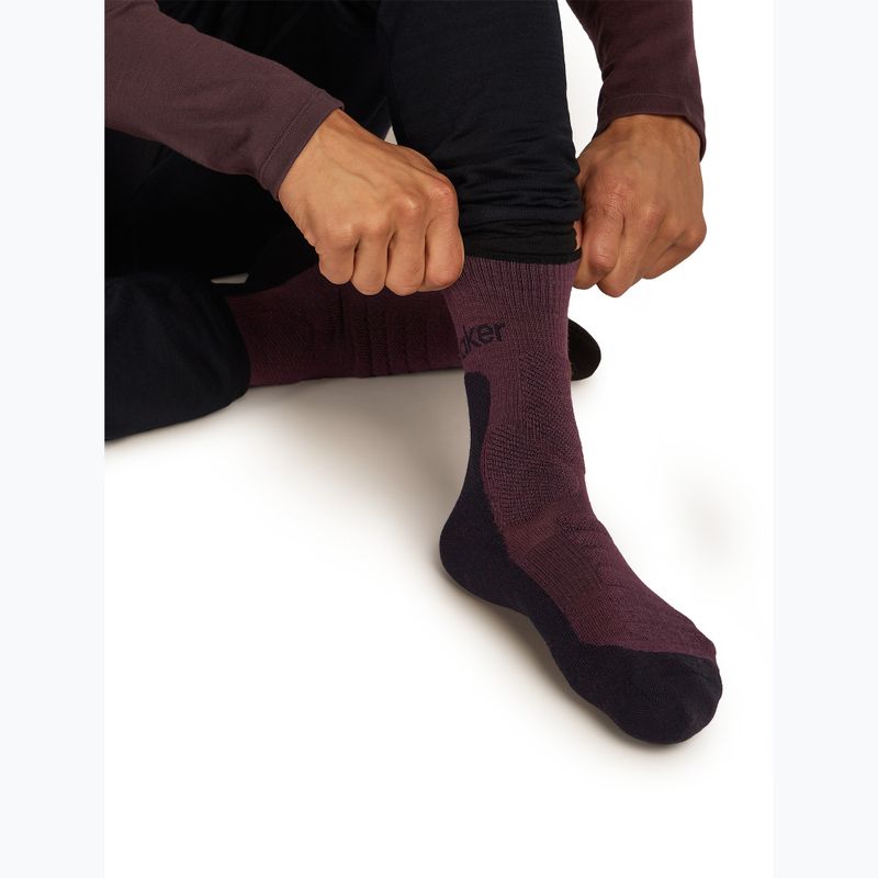 Calze da uomo icebreaker Merino Hike+ Heavy Crew java/black 5