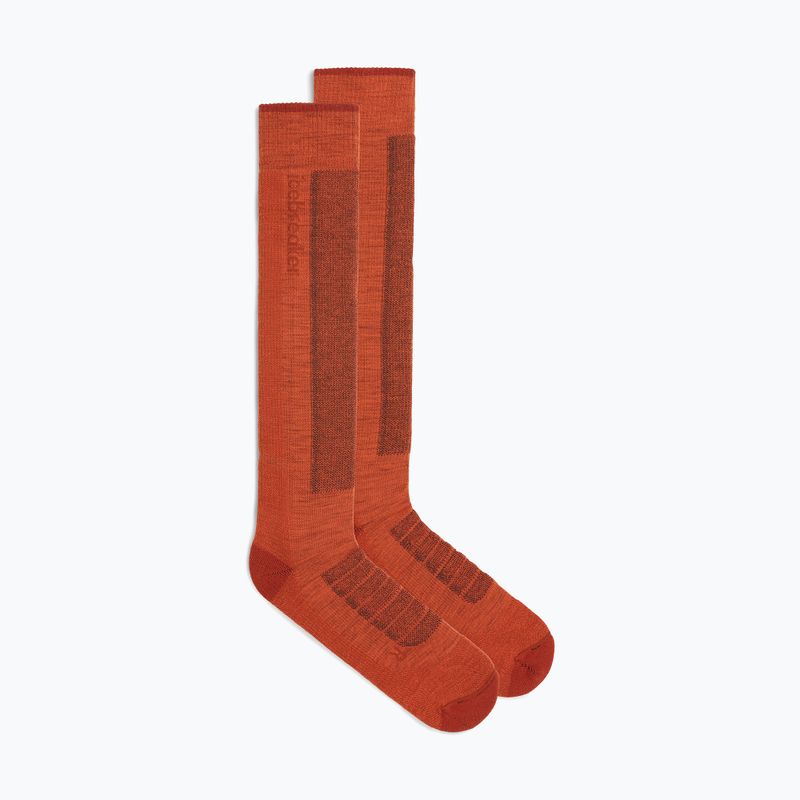 Calze da sci uomo Icebreaker Merino Ski+ Medium OTC fervid/agate/java 2