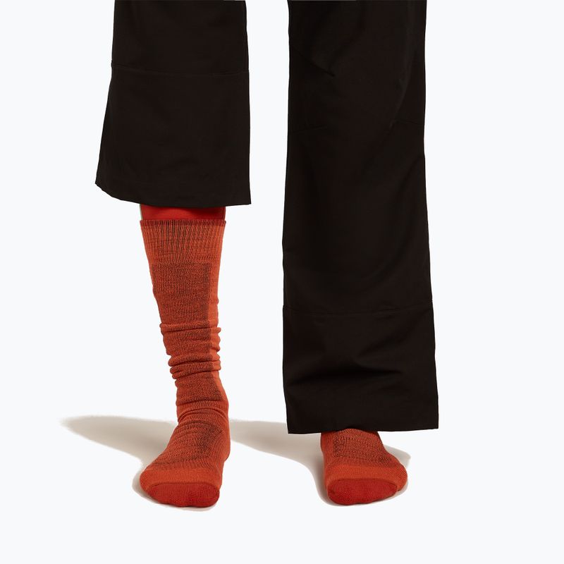 Calze da sci uomo Icebreaker Merino Ski+ Medium OTC fervid/agate/java 3