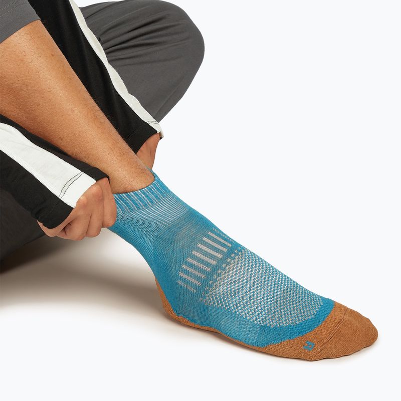 Calze Icebreaker Merino Hike+ Light Mini Uomo topazio/trail 3