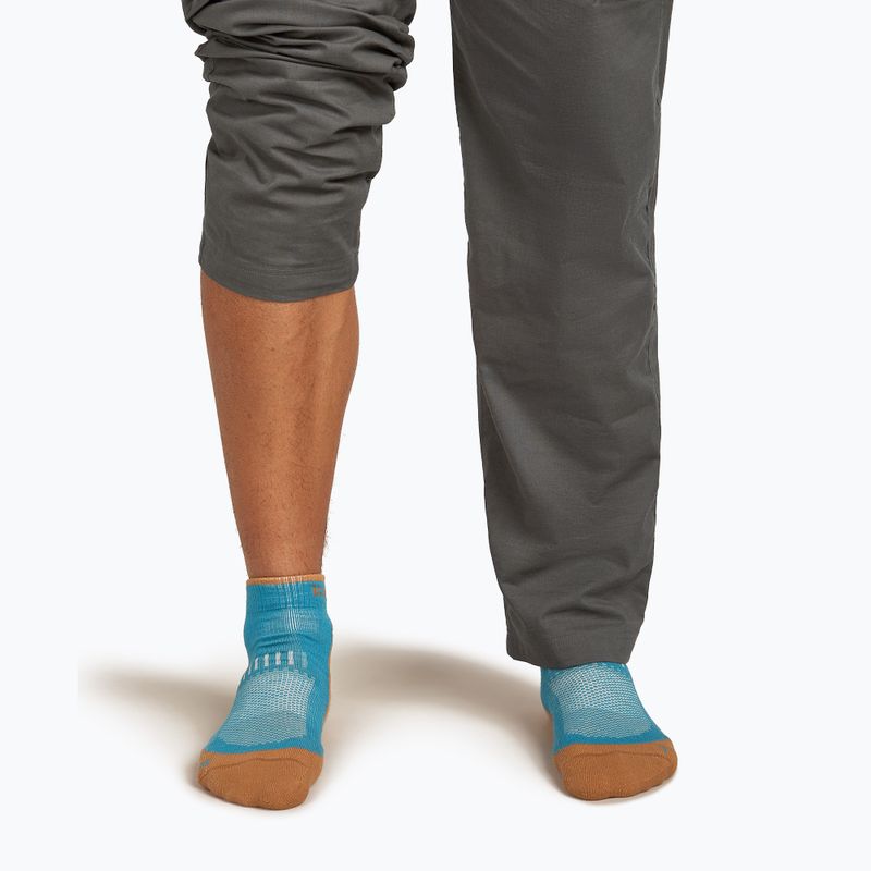 Calze Icebreaker Merino Hike+ Light Mini Uomo topazio/trail 4