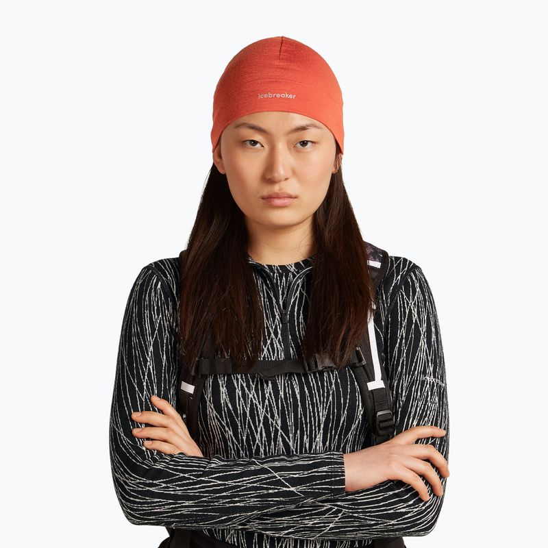 Cappello invernale icebreaker Merino 200 Oasis Beanie agata 2