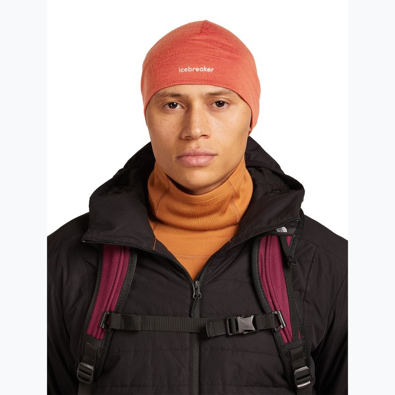 Cappello invernale icebreaker Merino 200 Oasis Beanie agata 5