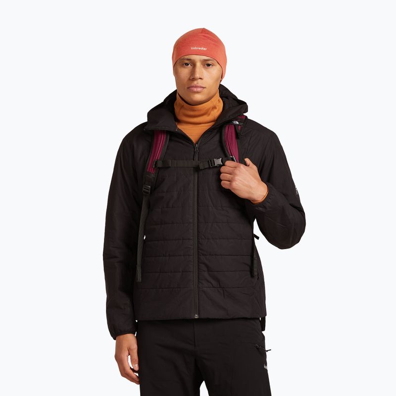 Cappello invernale icebreaker Merino 200 Oasis Beanie agata 6