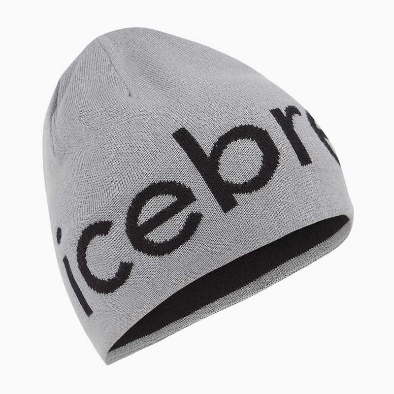 Cappello invernale icebreaker Merino Icebreaker Beanie alloy/black