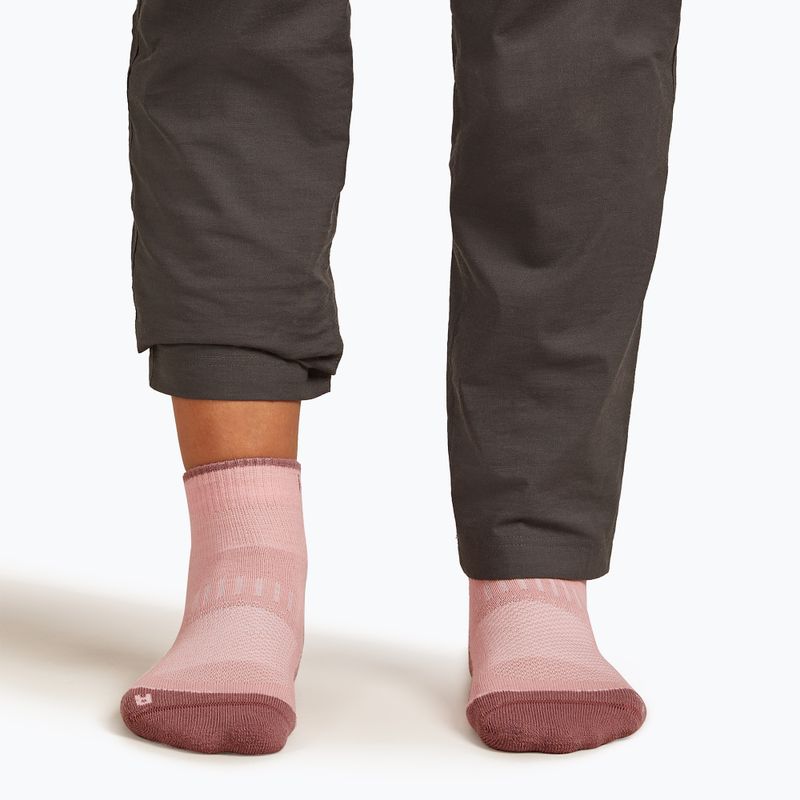 Calzini Icebreaker da donna Merino Hike+ Light Mini blush/summit 4