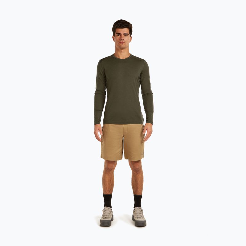 Maglia termica da uomo Icebreaker 200 Oasis Crewe dark loden 2
