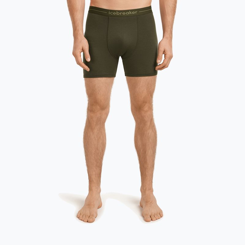 Boxer termici da uomo icebreaker Anatomica dark loden 2