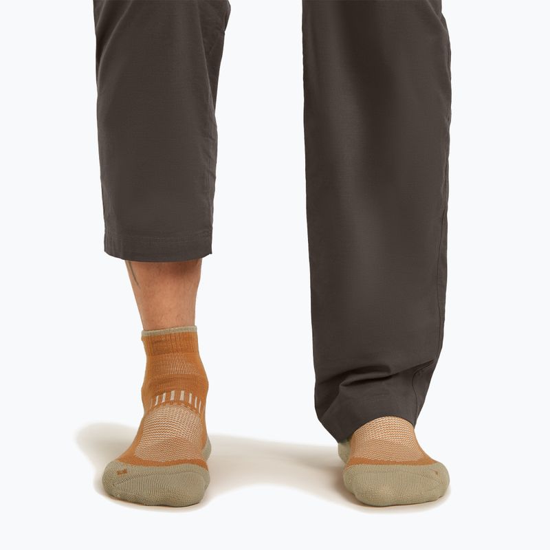 Calzini da uomo Icebreaker Merino Hike+ Light Mini trail/flagstone 3