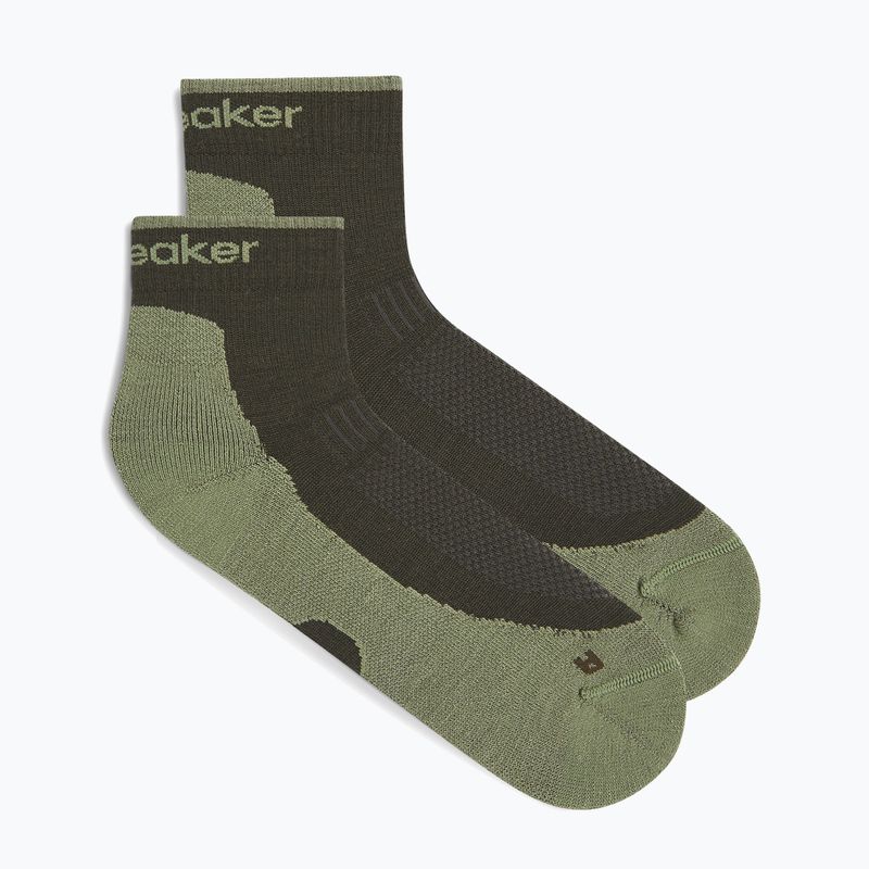 Calzini da uomo Icebreaker Merino Hike+ Light Mini dark loden/lichen 6