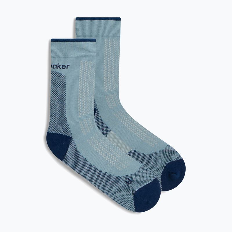 Calzini da uomo Icebreaker Merino Hike+ Ultralight Quarter flint blue/atlantis 2