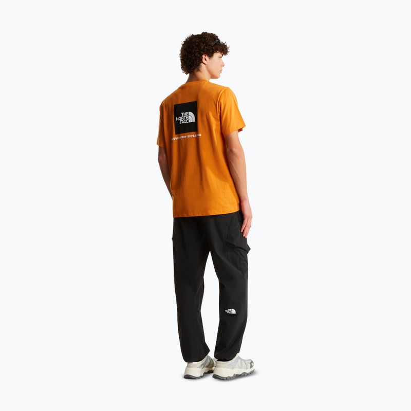 T-shirt da uomo The North Face Evolution Box NSE dust orange 2