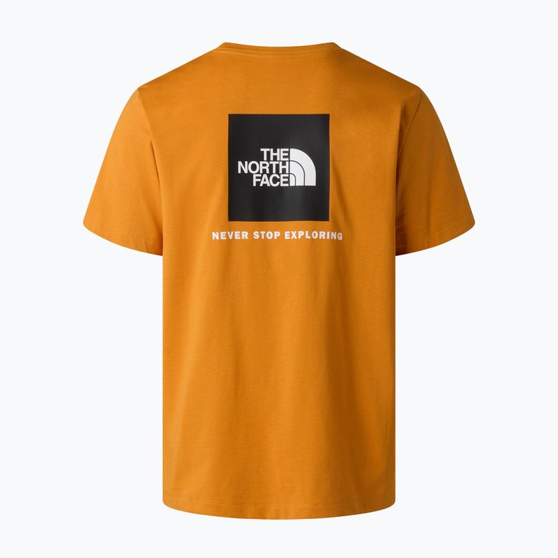 T-shirt da uomo The North Face Evolution Box NSE dust orange 6