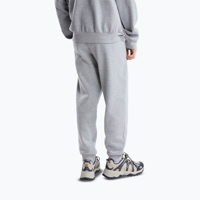 Pantaloni da uomo The North Face Evolution Simple Dome Regular Jogger tnf pale grey h 3