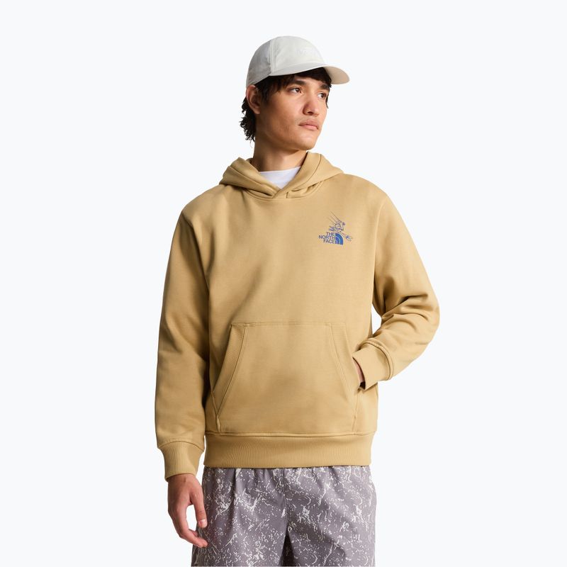 Felpa The North Face Mountain Celebration Relaxed Hoodie khaki stone 3