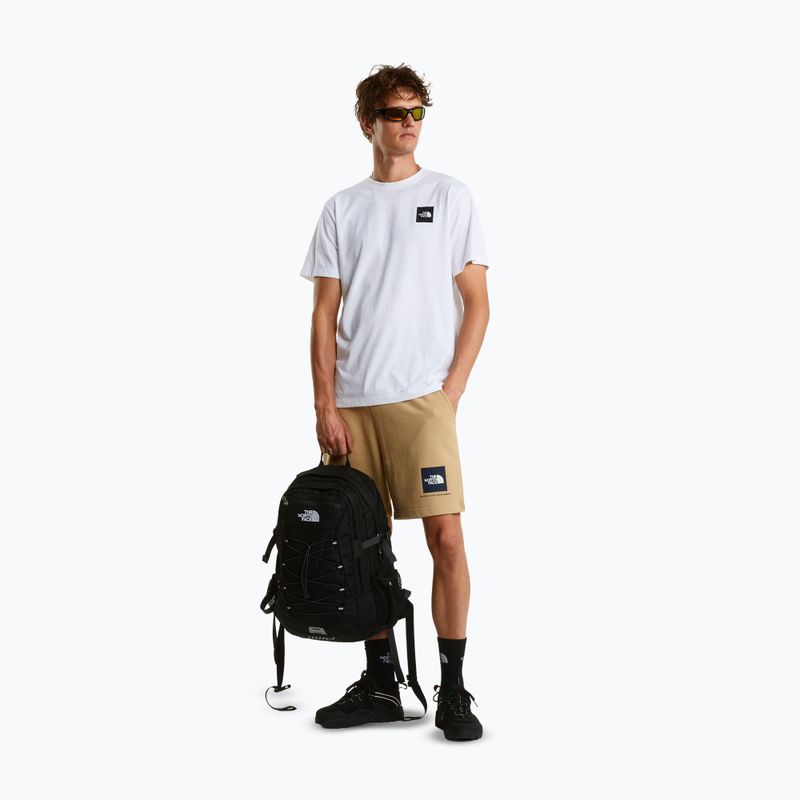 Pantaloncini da trekking da uomo The North Face Box Nse Light Regular Shorts khaki stone 2