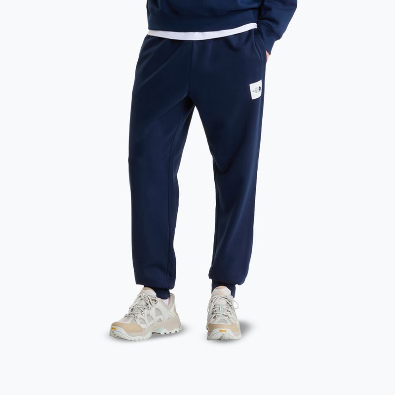 Pantaloni da uomo The North Face Evo Box Half Dome Regular Tappered summit navy