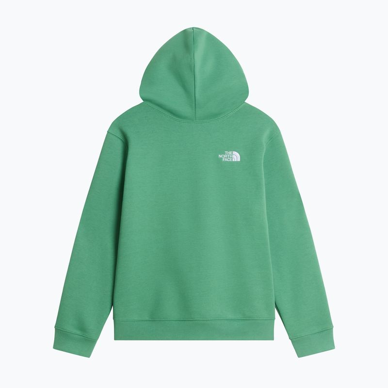 Felpa bambini The Noryh Face Essential Drew Peak Hoodie dimmed algae 2