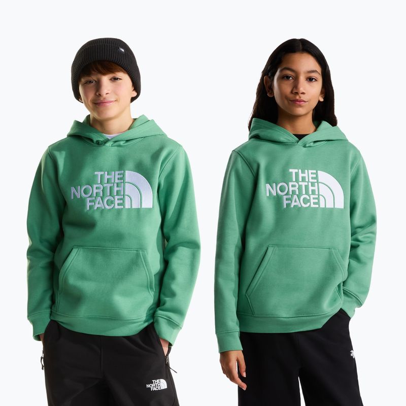 Felpa bambini The Noryh Face Essential Drew Peak Hoodie dimmed algae 3