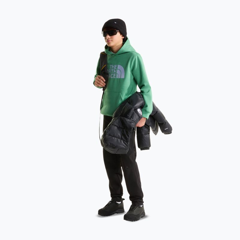 Felpa bambini The Noryh Face Essential Drew Peak Hoodie dimmed algae 4