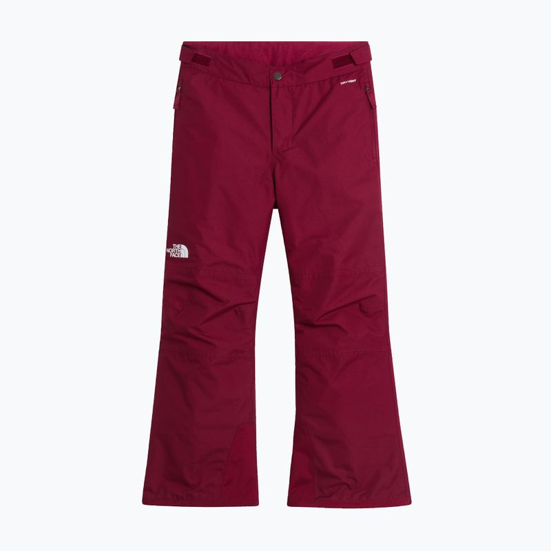 Pantaloni da sci per bambini The North Face Freedom Insulated burgundy crush 4