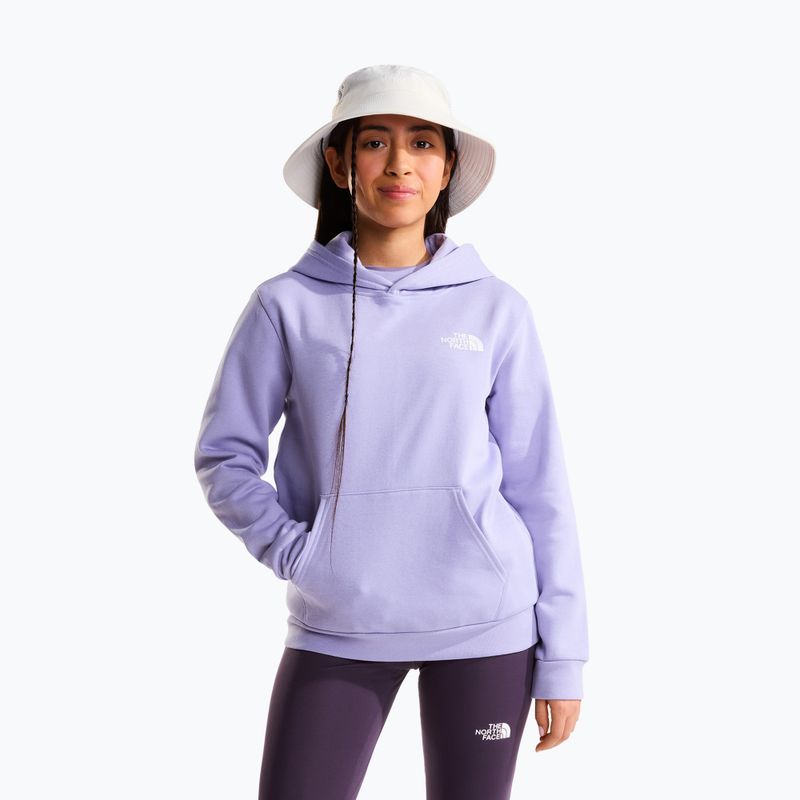 Felpa bambini The North Face Evolution Box NSE Pullover Hoodies pale plum 2