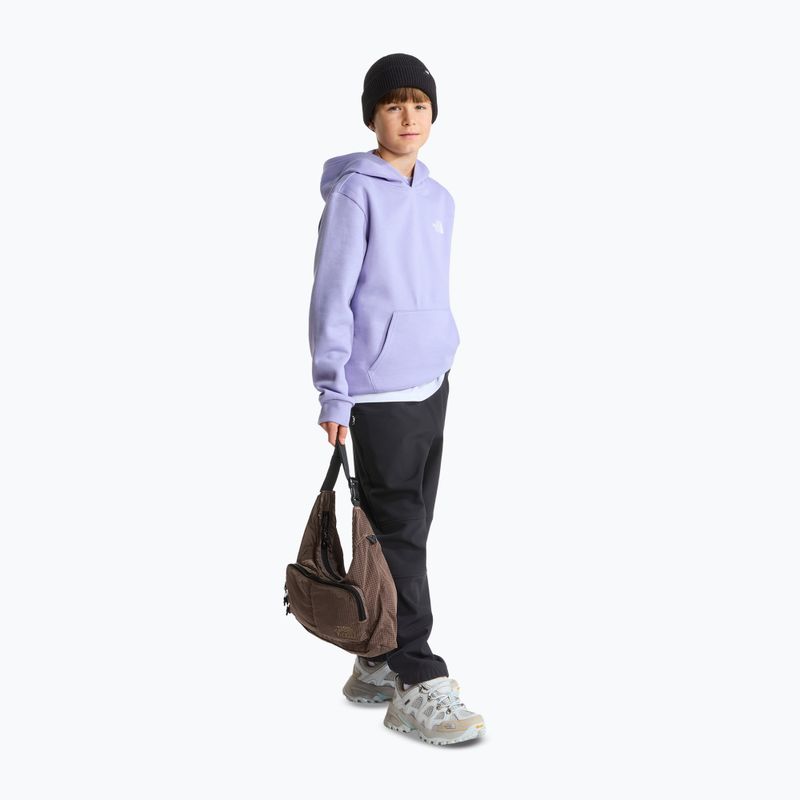 Felpa bambini The North Face Evolution Box NSE Pullover Hoodies pale plum 4