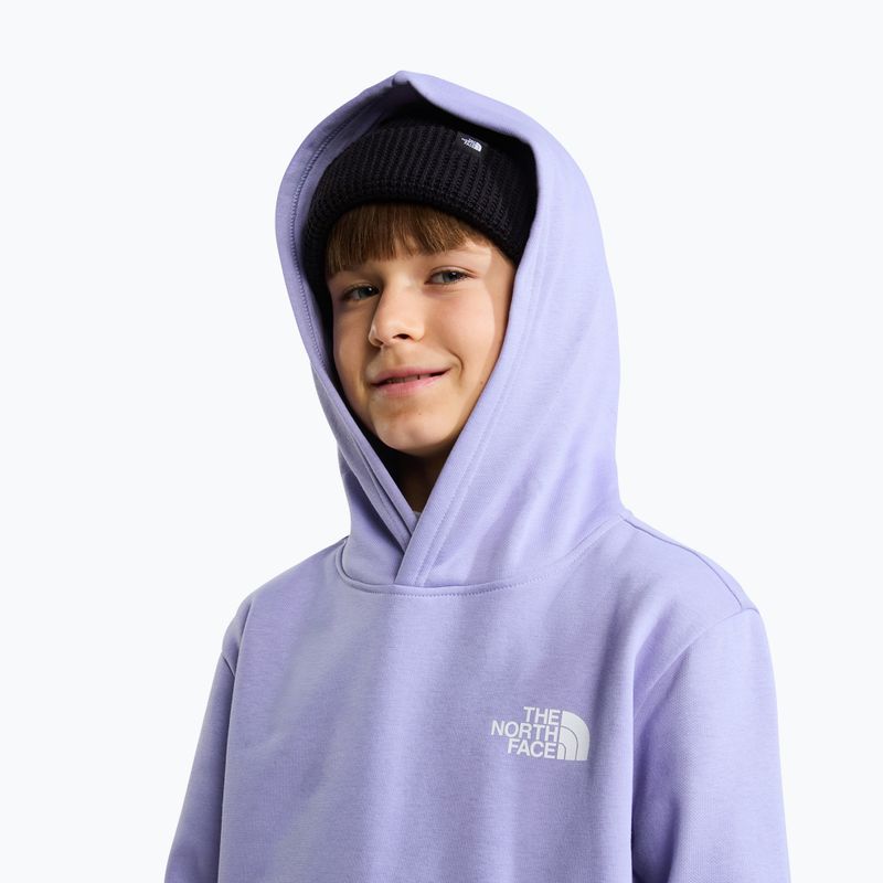 Felpa bambini The North Face Evolution Box NSE Pullover Hoodies pale plum 6