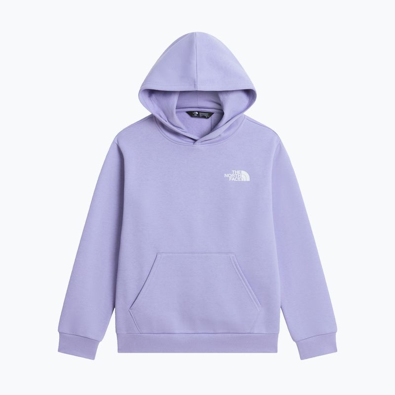 Felpa bambini The North Face Evolution Box NSE Pullover Hoodies pale plum 7