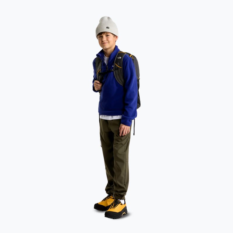 Pile felpato bambino The North Face Teen Glacier 1/4 Zip bold blue 2