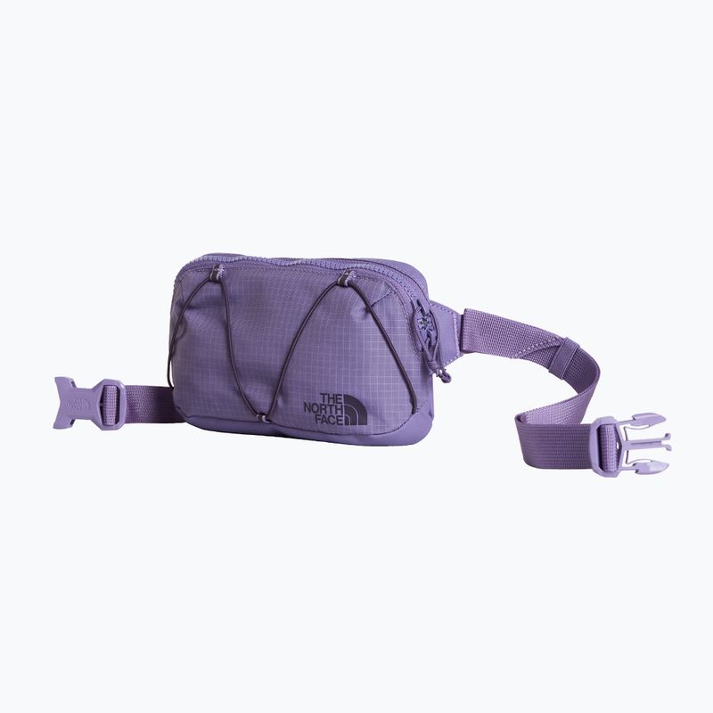 Marsupio cintura The North Face Terra Lumbar 1 l grounded plum/endless 2