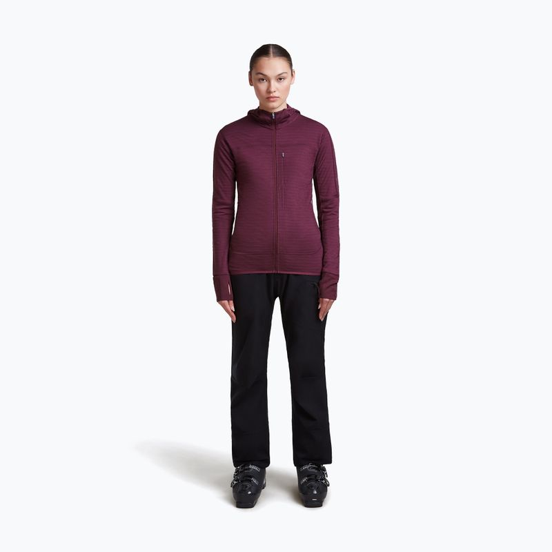 Felpa da trekking donna Icebreaker Merino 300 Realfleece Descender Zip Hoodie dark berry 2