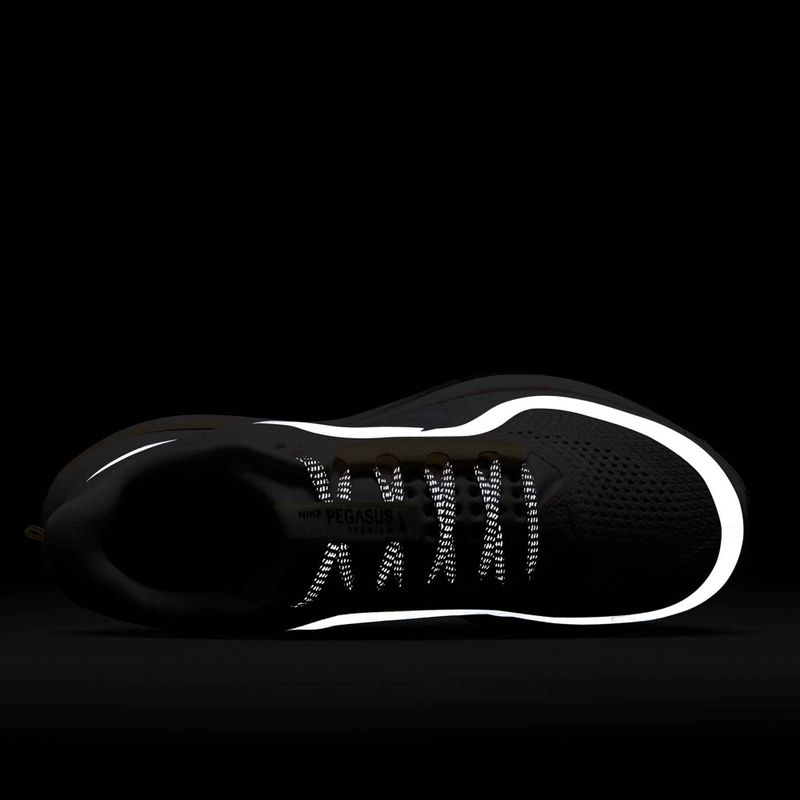 Scarpe da running donna Nike Pegasus Premium sail/alabaster/anthracite/white 10