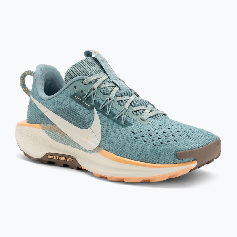 Nike Pegasus Trail 5 donne scarpe da corsa cannon / soft pearl / mink brown