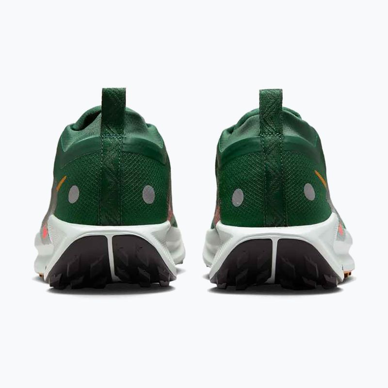 Scarpe da corsa da uomo Nike Pegasus Trail 5 GORE-TEX abete/bright crimson/verde argilla 6