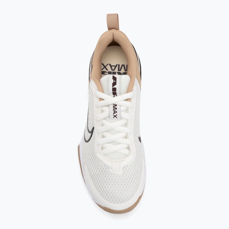 Scarpe da ginnastica da uomo Nike Air Max Alpha Trainer 6 vela/marrone barocco/canapa/polvere del deserto 5
