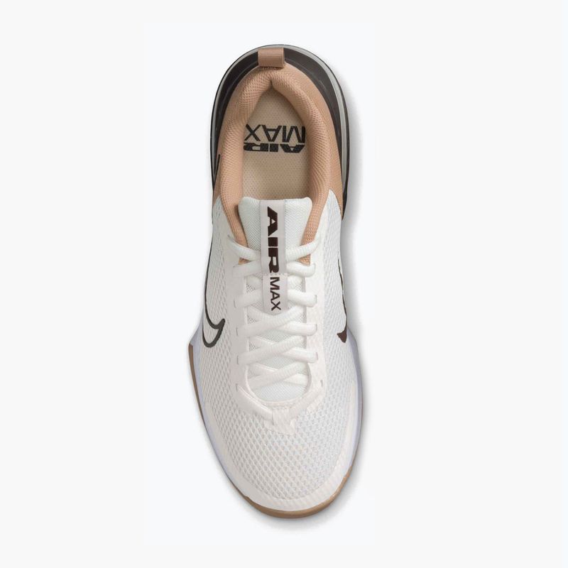 Scarpe da ginnastica da uomo Nike Air Max Alpha Trainer 6 vela/marrone barocco/canapa/polvere del deserto 6