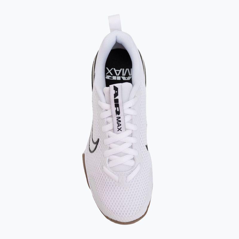 Scarpe da allenamento uomo Nike Air Max Alpha Trainer 6 white/black/gum medium brown/white 5