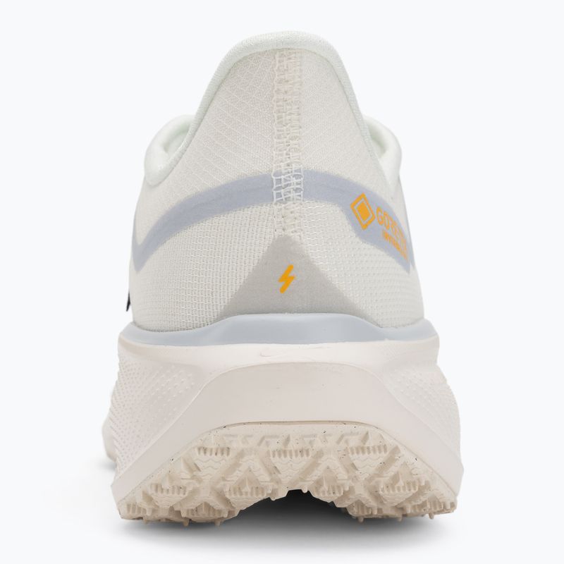 Scarpe da corsa uomo Nike Pegasus 41 GTX sail/football grey/sundial/ashen slate 6